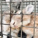 kumikun.ai