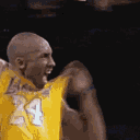 mamba_romez
