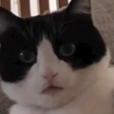 avatar Keelah Se'lai