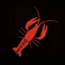 davebooi