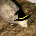 witchpossum