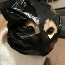 avatar x لօҽī 📼