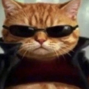 avatar x لօҽī 📼