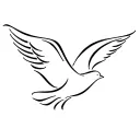 taiernn