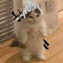 mazal2198#9233's avatar