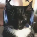 scuffednewt
