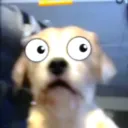 linkninjas