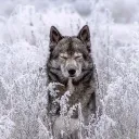 trueparanormal