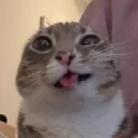 karmaaaaaa.