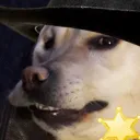 dogegeox