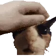 squelchyman