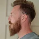 vangsviking