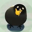 JasonYMP's Avatar