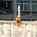 pooh95