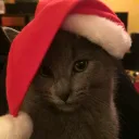 tiktoks