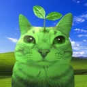tiktoks