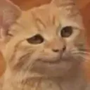 totempalen