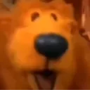 jelte.n