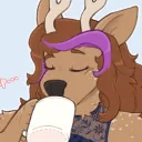 queerdeer