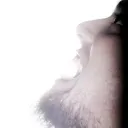 stagortron
