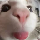 cfxosu