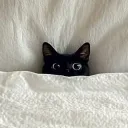 zuzufluffydemon