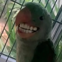 ni66rnugget's Avatar