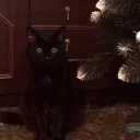 zuzyatnya