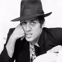 celentano_dn