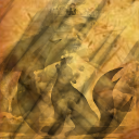 davidshine member profile picture