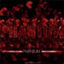 phantum5949