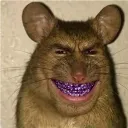 konokat
