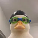 rainvlr