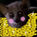 nightlemur91