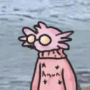 amoaxi