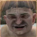 _r_d_p_