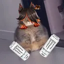 catzy_