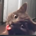 togusa_