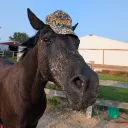 dustybarnacles