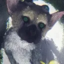 fluffygenji