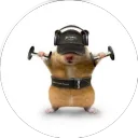 fretraq