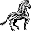 zebrazebra