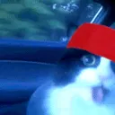 littlestan