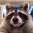 evzah