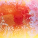 f4d3r