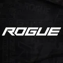 rogueenergy8965