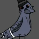 a_normal_pidgeon