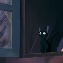 shoccwasd