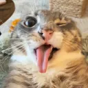winkygg