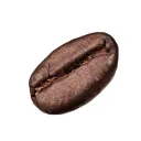 mazkudz